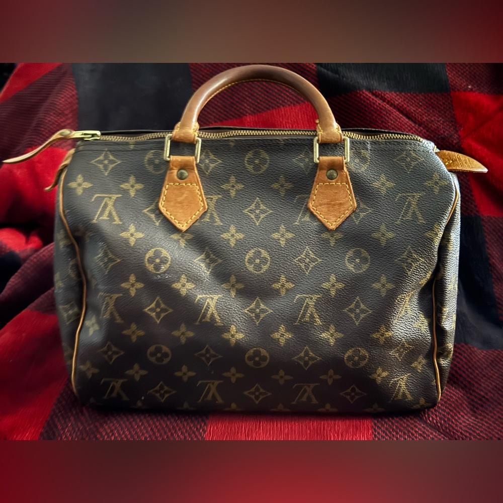 Louis Vuitton Speedy Monogram Canvas Handbag
